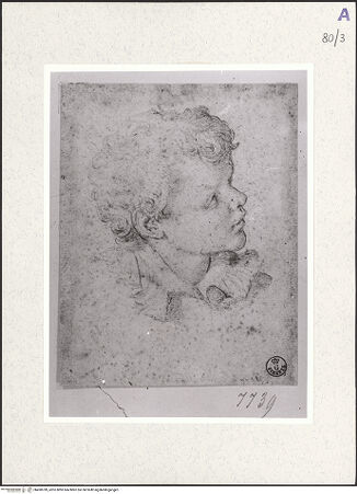 Vorderseite von bh490789_recto