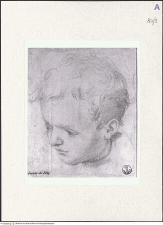 Vorderseite von bh490790_recto