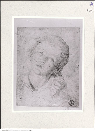 Vorderseite von bh490791_recto