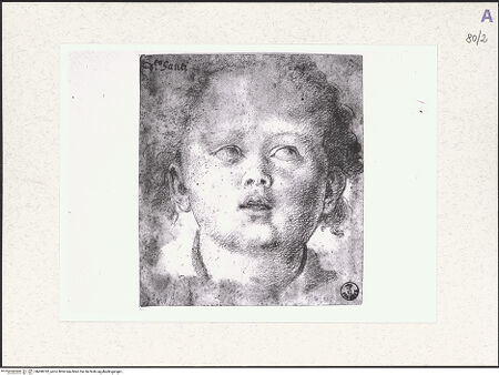 Vorderseite von bh490792_recto