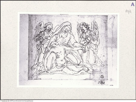 Vorderseite von bh490795_recto