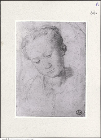 Vorderseite von bh490797_recto