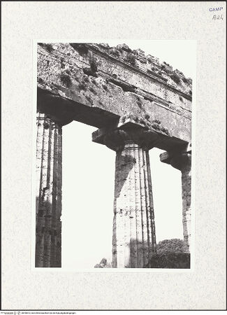 Vorderseite von Bibliotheca Hertziana [https://www.deutsche-digitale-bibliothek.de/content/lizenzen/rv-fz/] Tempio di Nettuno - Detail, Kapitelle und Gebälk (Innenseite), bh490813_recto. Foto: Kruft, Hanno-Walter.