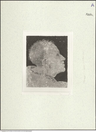 Vorderseite von bh490854_recto