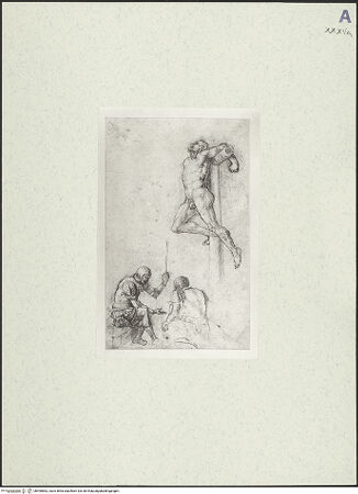 Vorderseite von bh490862_recto