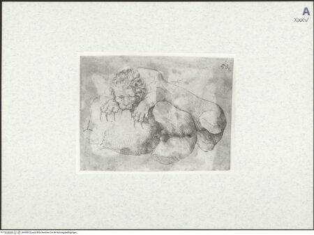 Vorderseite von bh490872_recto