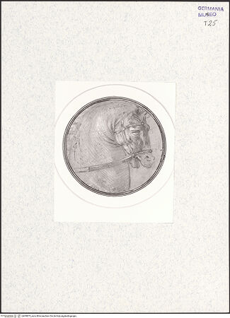 Vorderseite von Kupferstichkabinett [https://www.deutsche-digitale-bibliothek.de/content/lizenzen/rv-ez/] Pferdekopf - , bh490873_recto. Foto: Anders, Jörg P..