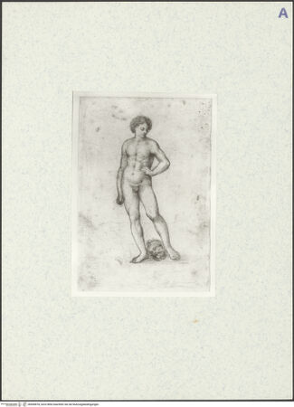 Vorderseite von bh490878_recto