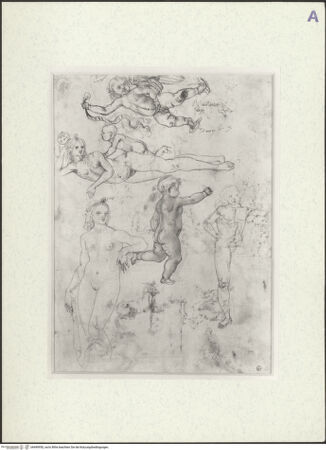 Vorderseite von bh490950_recto