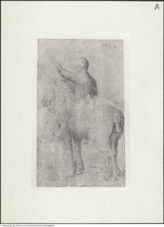 Vorderseite von bh490952_recto