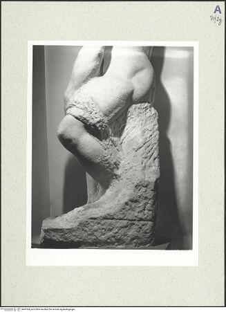 Vorderseite von bh491004_recto