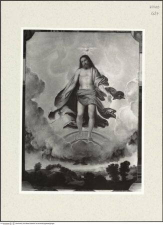 Vorderseite von bh491043_recto