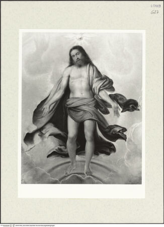 Vorderseite von bh491046_recto