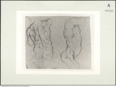 Vorderseite von Alinari [https://www.deutsche-digitale-bibliothek.de/content/lizenzen/rv-ez/] Madonna - , bh491083-10_recto. Foto.