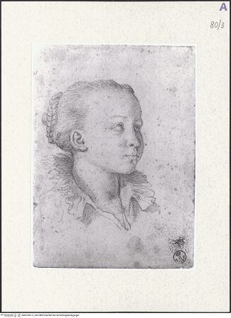 Vorderseite von Bibliotheca Hertziana [https://www.deutsche-digitale-bibliothek.de/content/lizenzen/rv-fz/] Heiliger Andreas - , bh491083-12_recto. Foto: Kruft, Hanno-Walter.