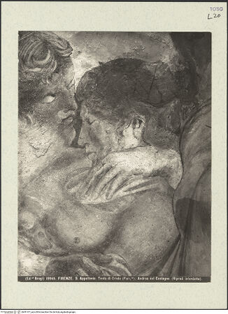 Vorderseite von bh491417_recto