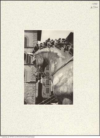 Vorderseite von bh491486-01_recto