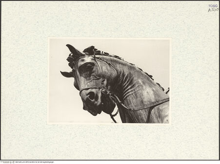 Vorderseite von bh491489_recto