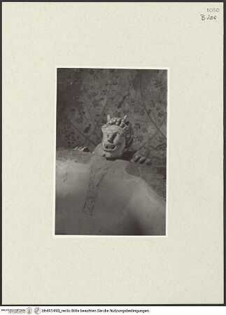 Vorderseite von bh491493_recto