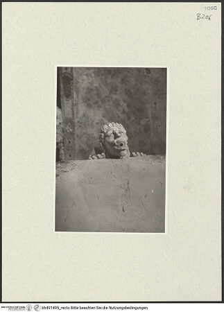 Vorderseite von bh491495_recto