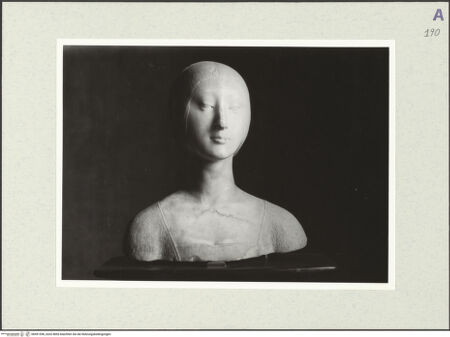 Vorderseite von bh491596_recto