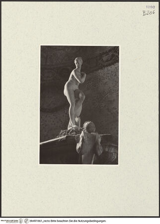 Vorderseite von bh491661_recto