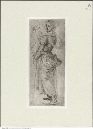 Vorderseite von bh491676_recto