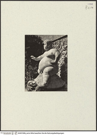 Vorderseite von bh491686_recto