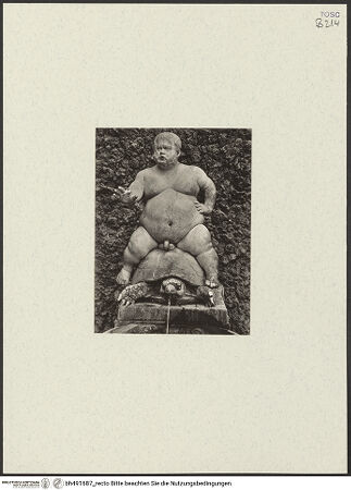 Vorderseite von bh491687_recto