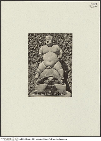 Vorderseite von bh491688_recto