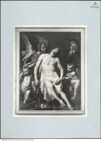 Vorderseite von bh491830_recto