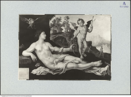 Vorderseite von bh491835_recto