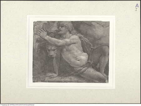 Vorderseite von bh491866_recto