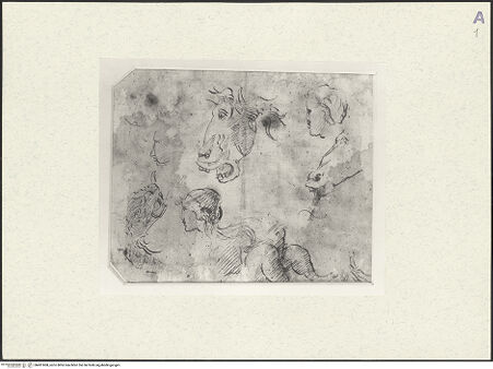 Vorderseite von bh491868_recto