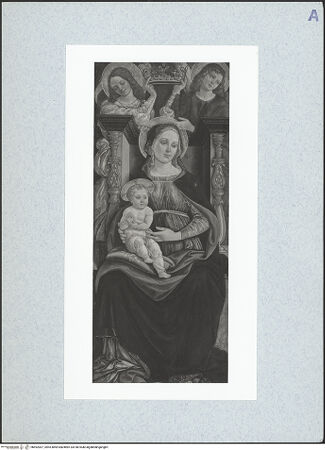 Vorderseite von bh492007_recto