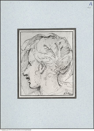 Vorderseite von bh492076_recto