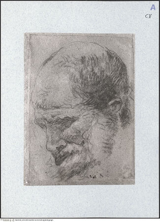 Vorderseite von bh492090_recto