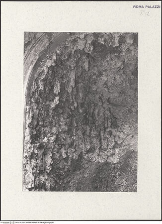 Vorderseite von bh492116_recto