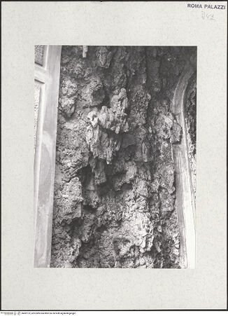 Vorderseite von bh492123_recto