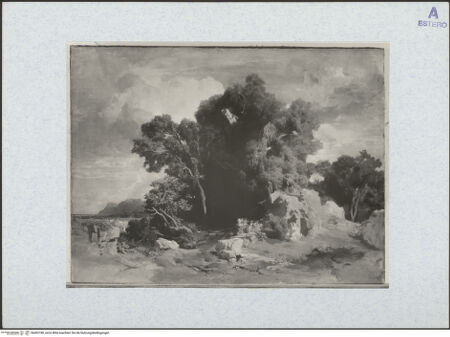 Vorderseite von bh492180_recto