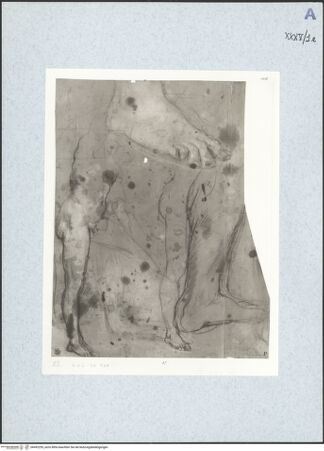 Vorderseite von bh492255_recto