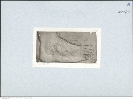 Vorderseite von bh492257_recto