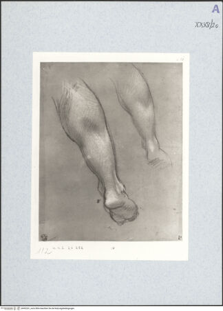 Vorderseite von bh492261_recto