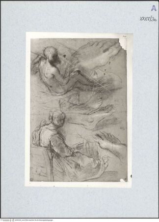 Vorderseite von bh492263_recto