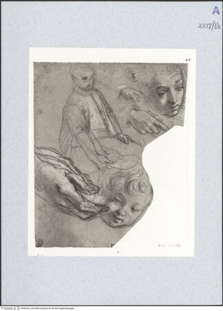 Vorderseite von bh492264_recto