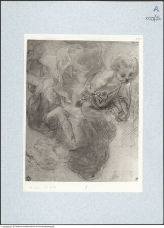 Vorderseite von bh492266_recto