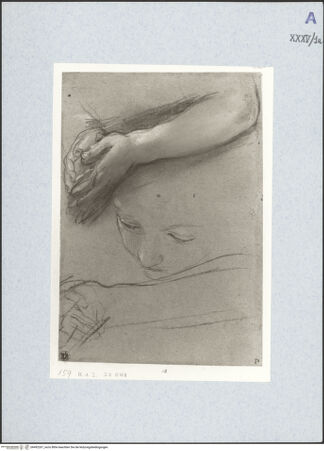 Vorderseite von bh492267_recto