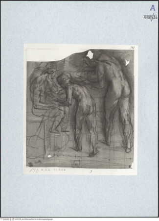 Vorderseite von bh492269_recto