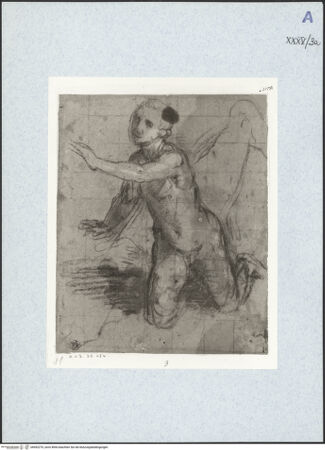 Vorderseite von bh492270_recto