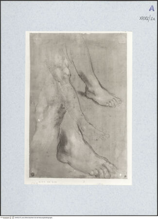 Vorderseite von bh492275_recto